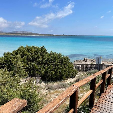 Civico34 House 3 - I Giardini Dell'Ancora Βίλα Stintino Εξωτερικό φωτογραφία