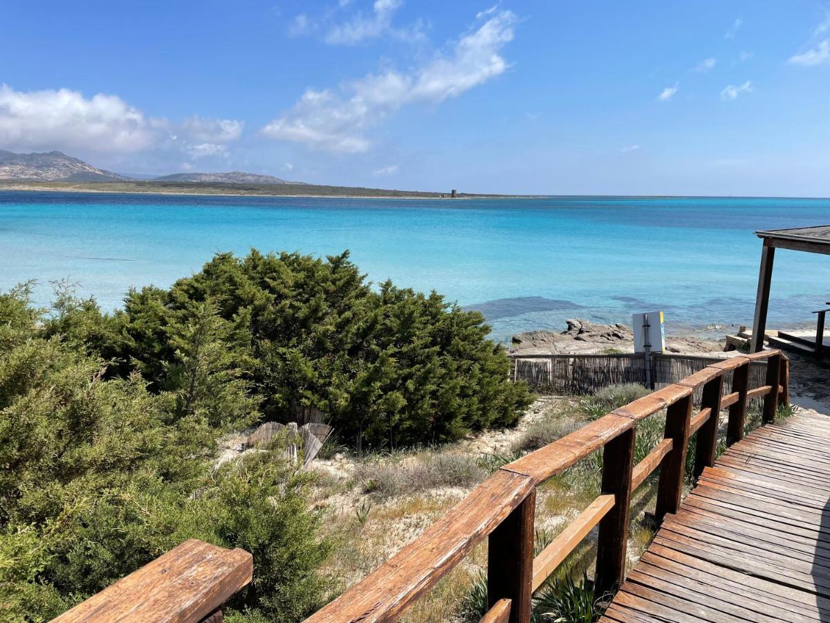 Civico34 House 3 - I Giardini Dell'Ancora Βίλα Stintino Εξωτερικό φωτογραφία